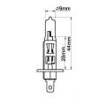 auto halogen lamp bulbs/H1